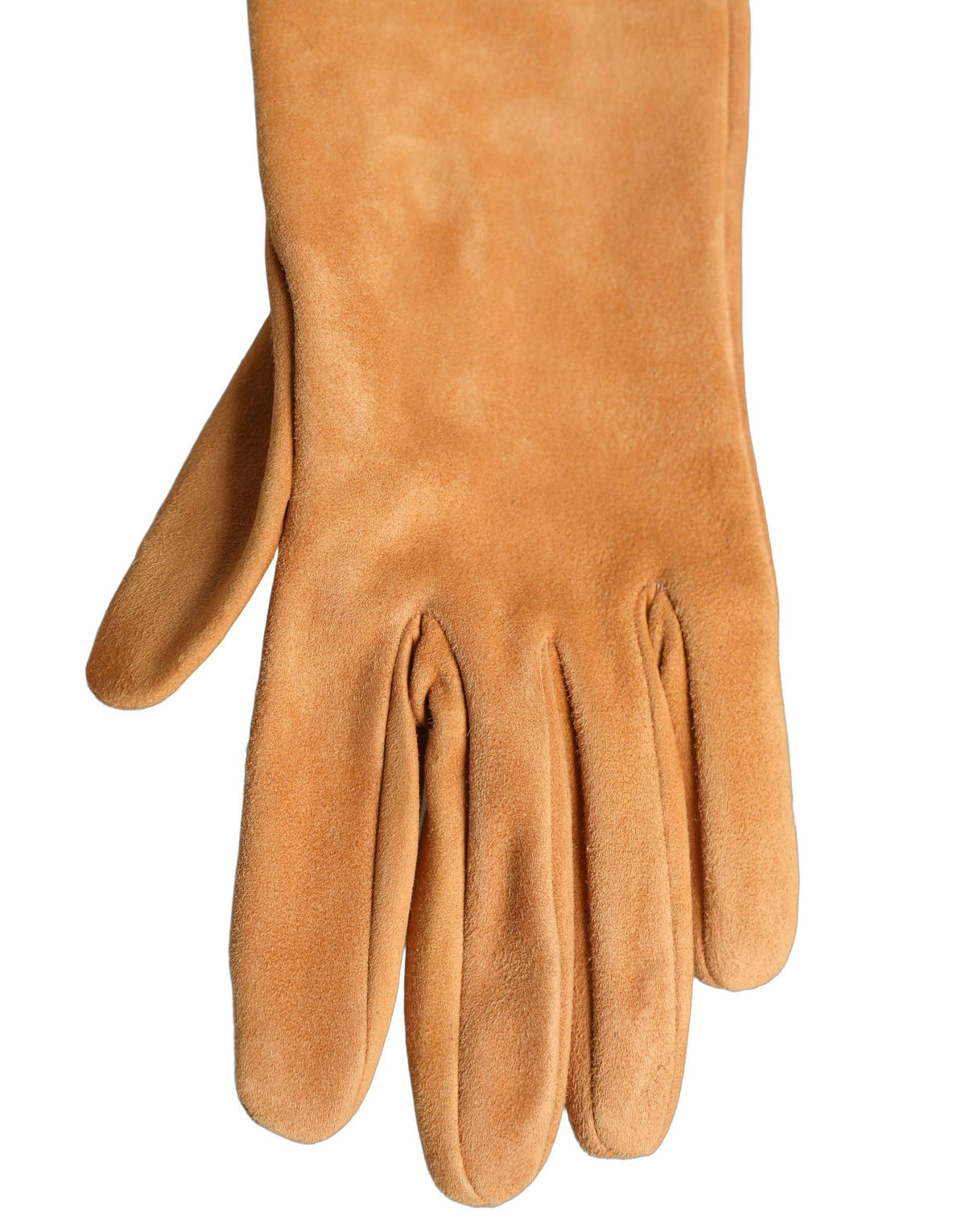 Dolce & Gabbana Tan Genuine Leather Suede Elbow-Length Gloves