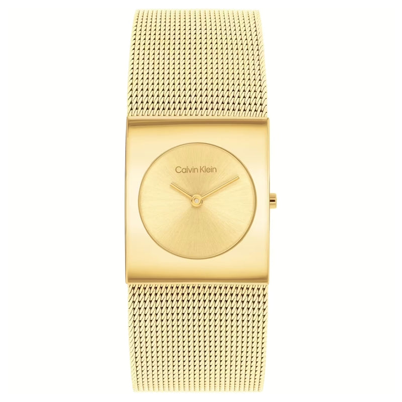 Calvin Klein Watch 1693551