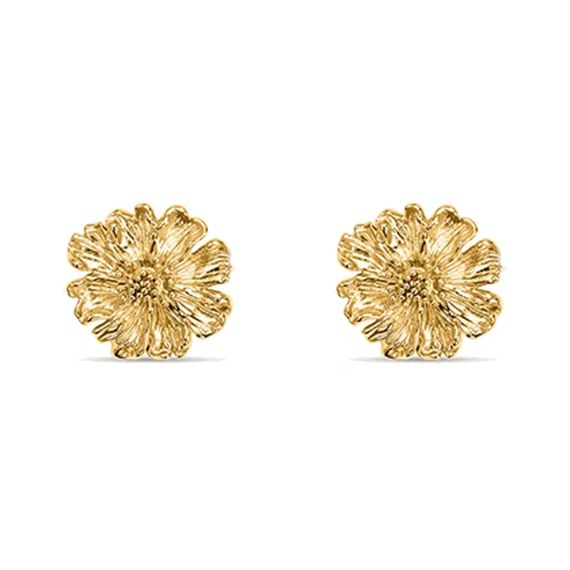 Stroili Women's Earrings 1697585