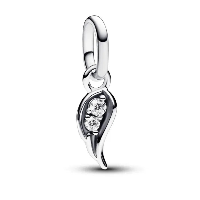 Pandora Charm 793041C01