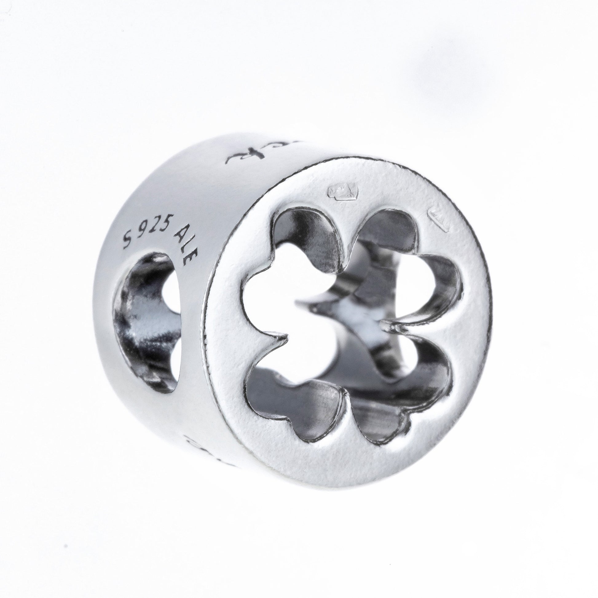 Charm Pandora 797868