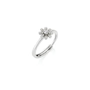 Amen Women's Luxury Cuddle Ring ANFIPBBZ2
