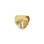 Anello da donna Etrusca WSET00789-YG-18