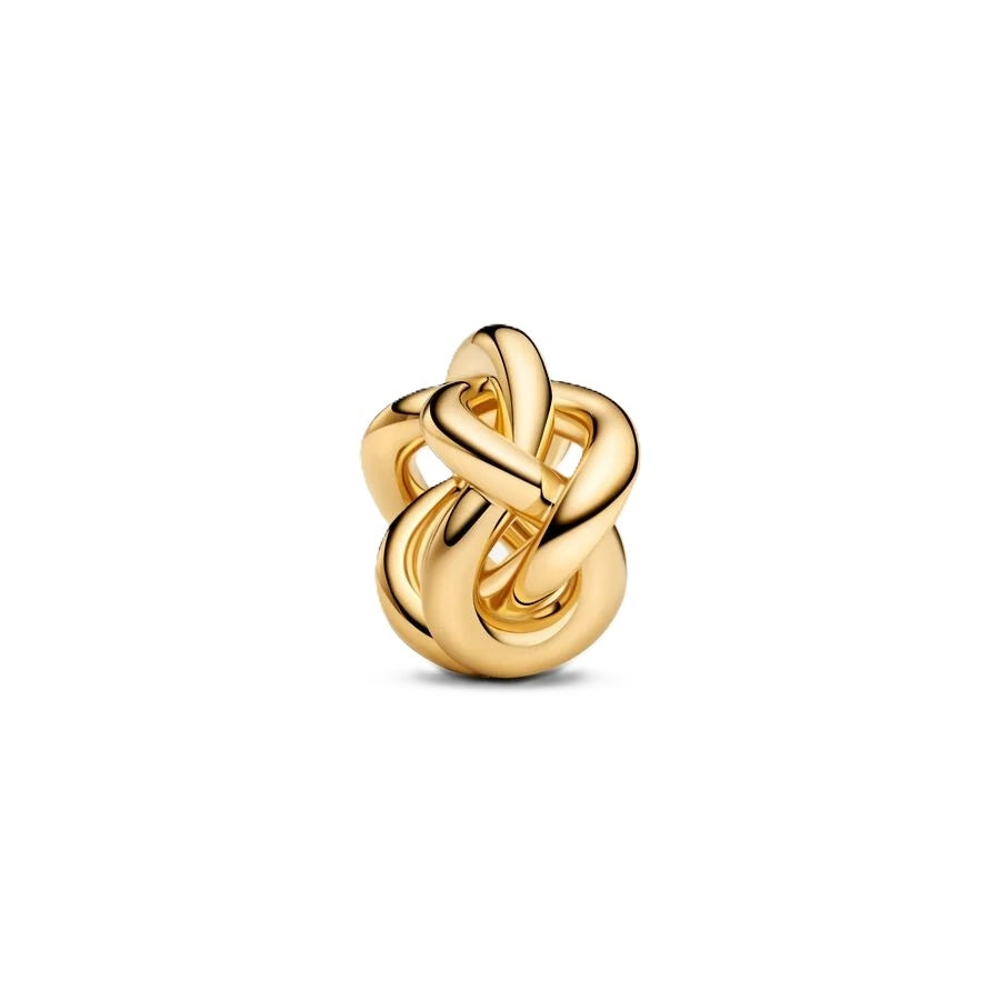 Charm Clip Fascia Larga Bicolore Pandora 763755C00