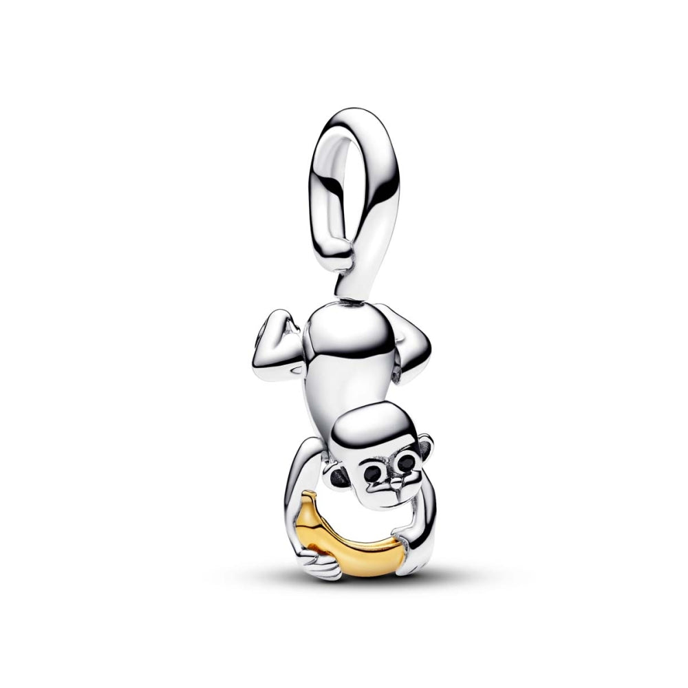 Charm Pandora 763343C01
