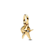 Charm Pandora 763892C01