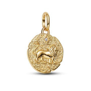 Charm Pandora 763974C01