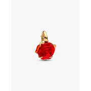 Charm Pandora 764018C01