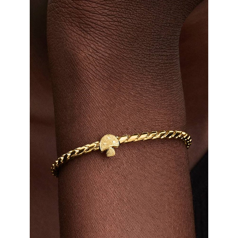 Charm Pandora 764048C00