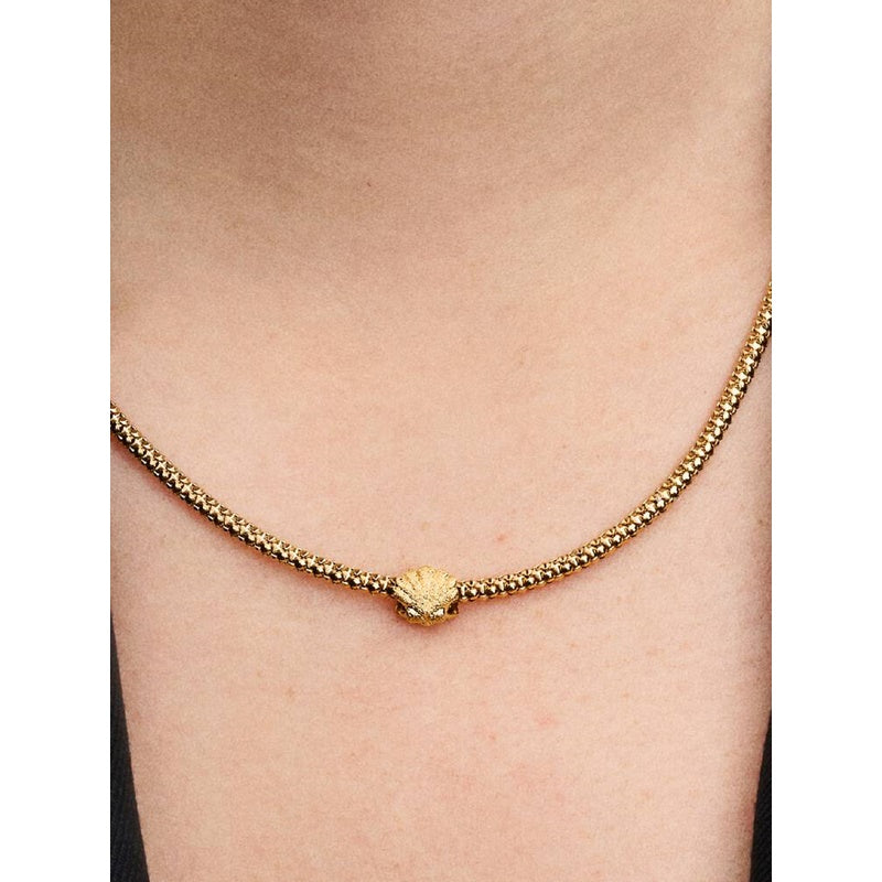 Charm Pandora 764057C00