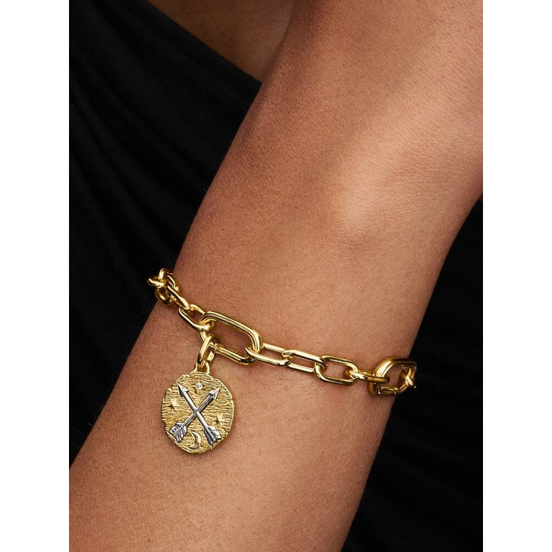 Charm Pandora 764081C01