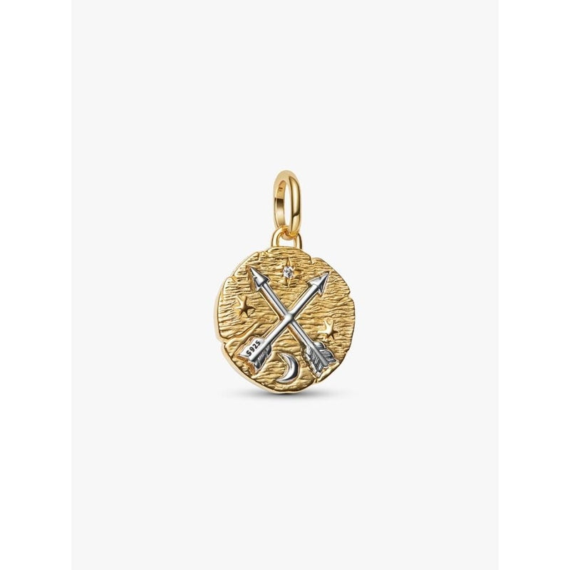 Charm Pandora 764081C01