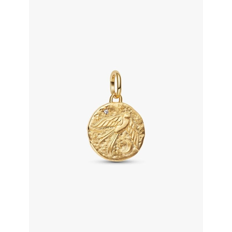 Charm Pandora 764082C01