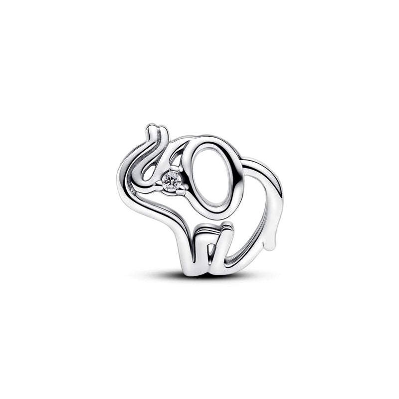 Charm Pandora 793345C01