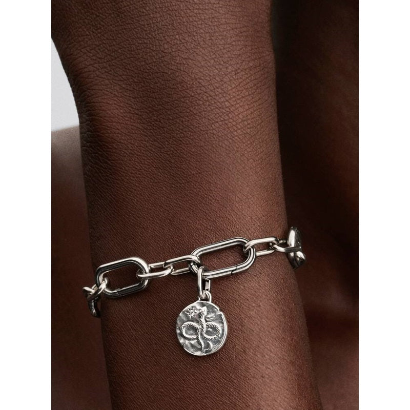 Charm Pandora 793976C01