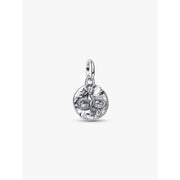 Charm Pandora 793976C01