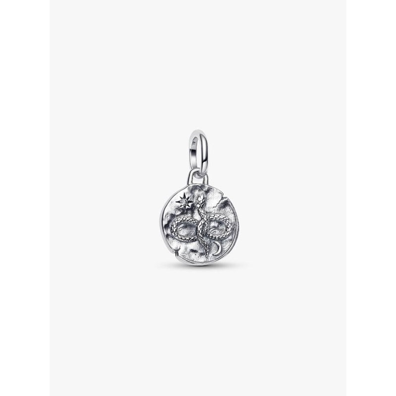 Charm Pandora 793976C01