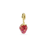 Charm Swarovski 5743136