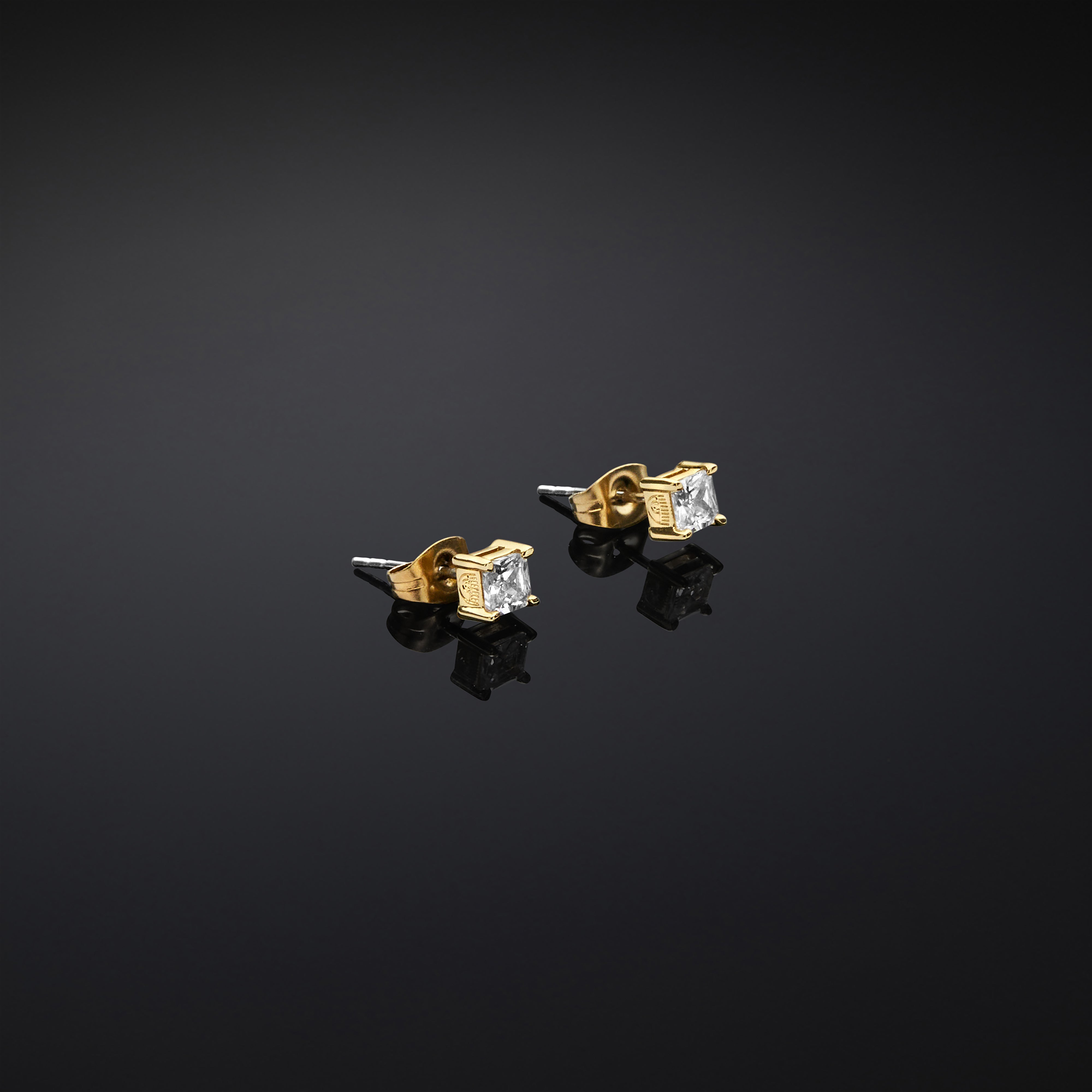 CHIARA FERRAGNI CLASSIC WOMEN'S EARRINGS J19AVJ16