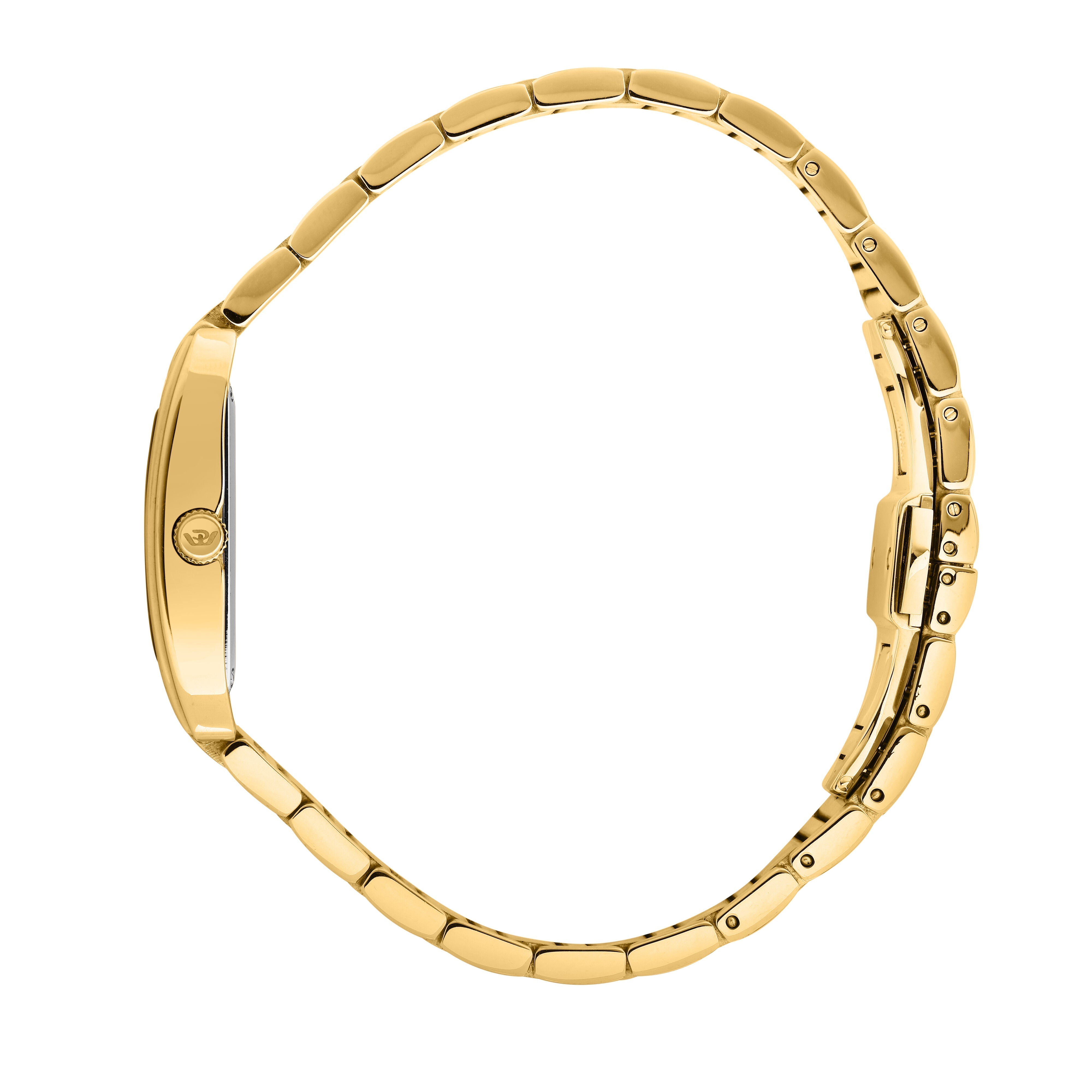 Philip Watch Museum Women's Watch R8253820502