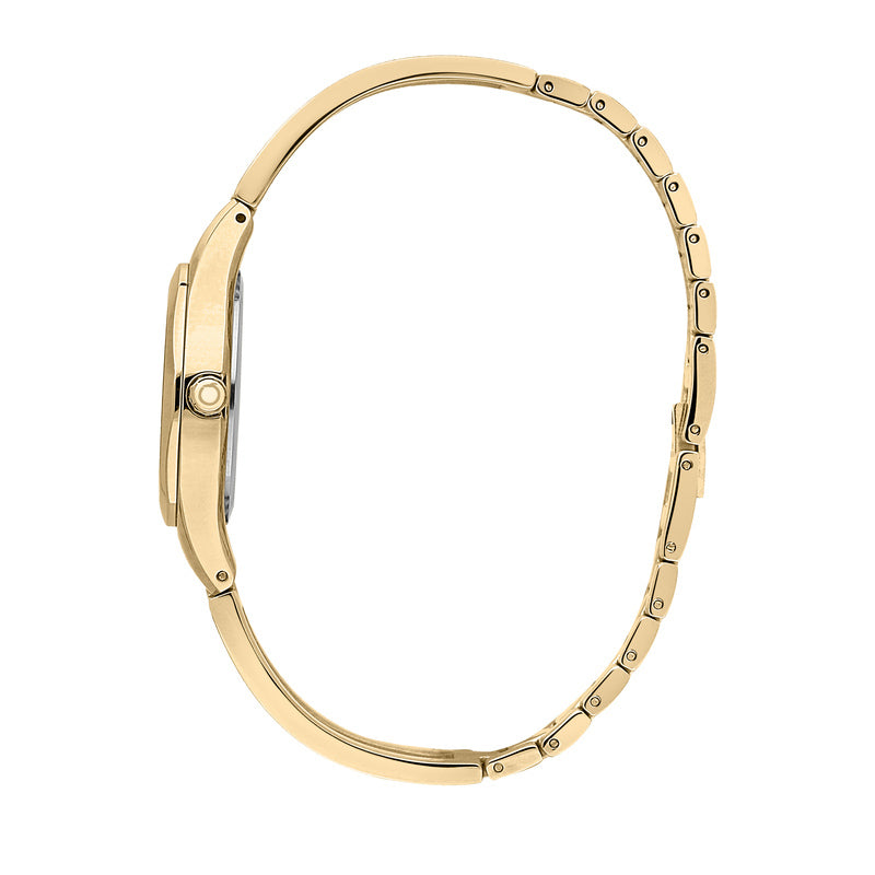 Trussardi Metropolitan Women's Watch R2453159501