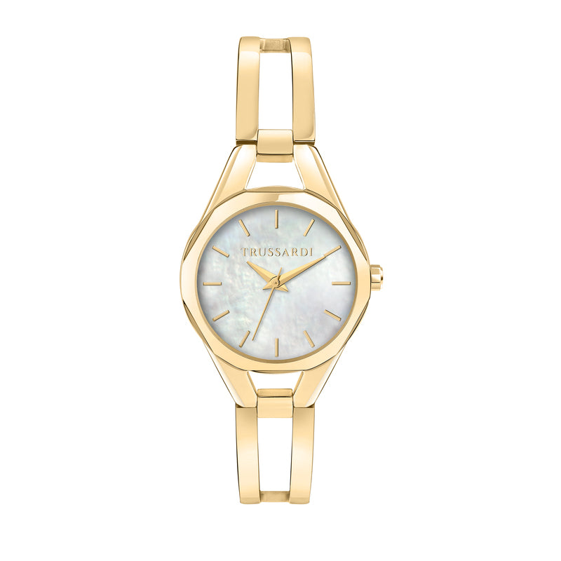 Trussardi Metropolitan Women's Watch R2453159501