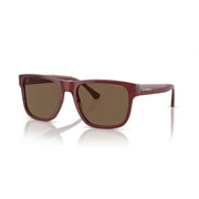 Occhiali da sole Emporio Armani EA 4163_5075-73_56