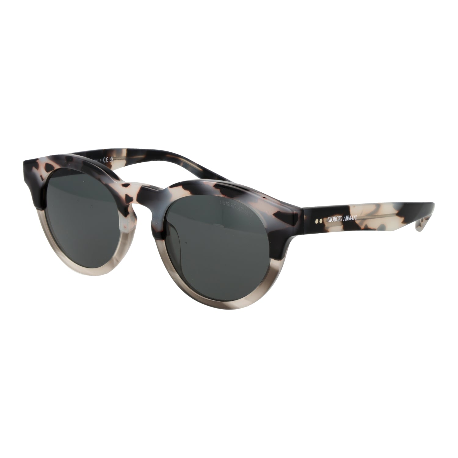 Occhiali da sole Giorgio Armani 0AR8189U 51600987