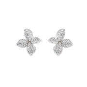 Amen women's nature earrings EFIBBZ