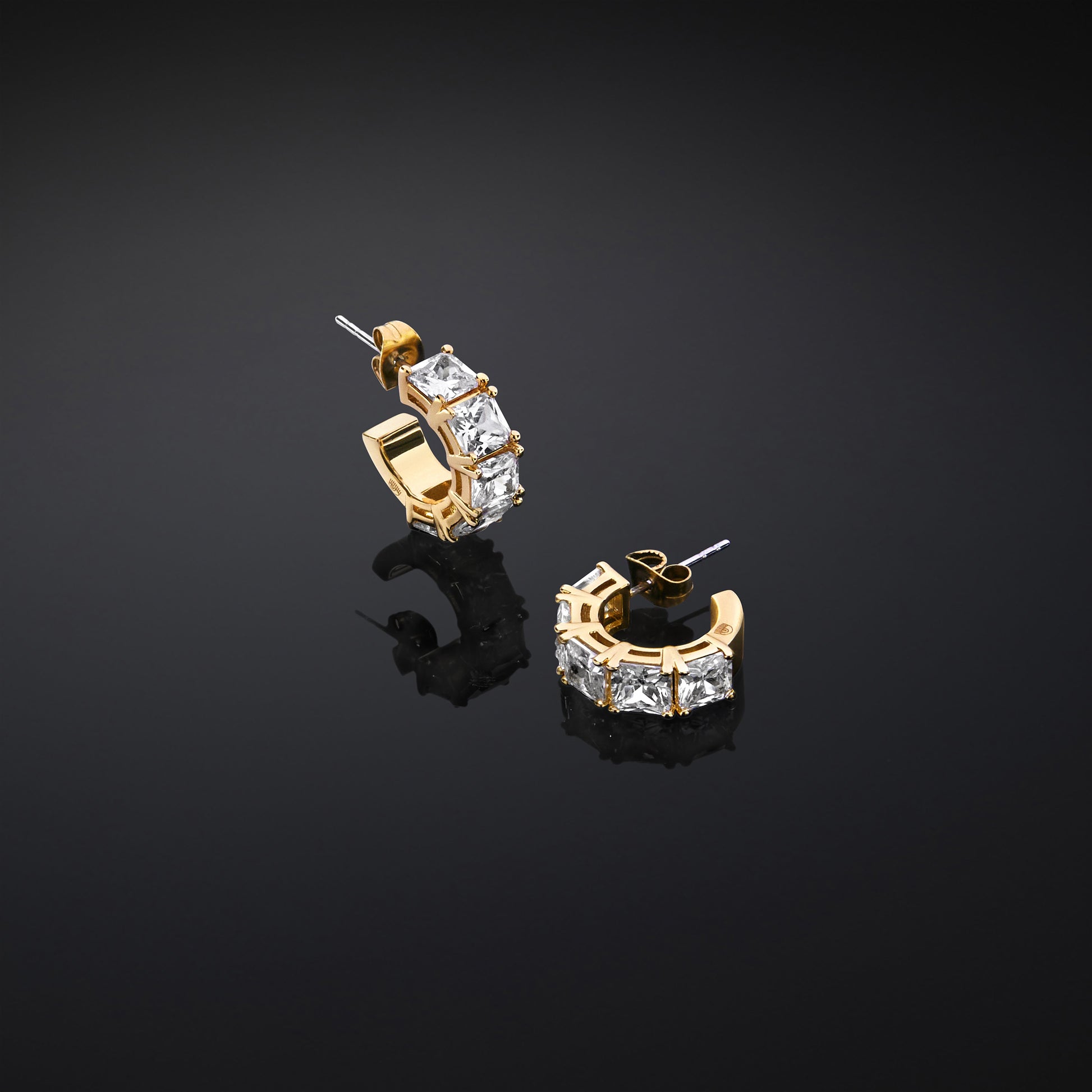 CHIARA FERRAGNI CLASSIC WOMEN'S EARRINGS J19AVJ24
