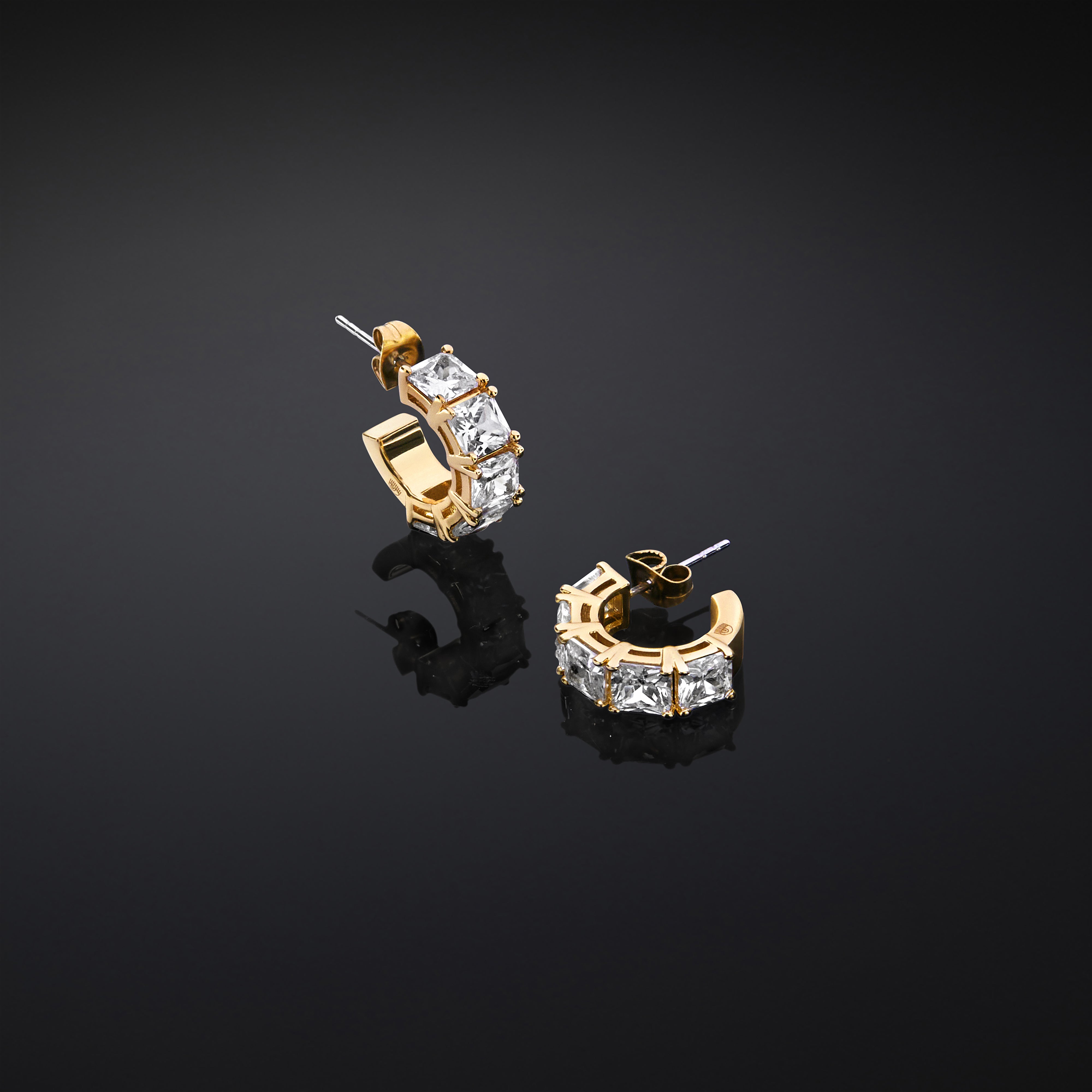 CHIARA FERRAGNI CLASSIC WOMEN'S EARRINGS J19AVJ24