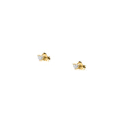 Orecchini Live Diamond LDY030230 Donna
