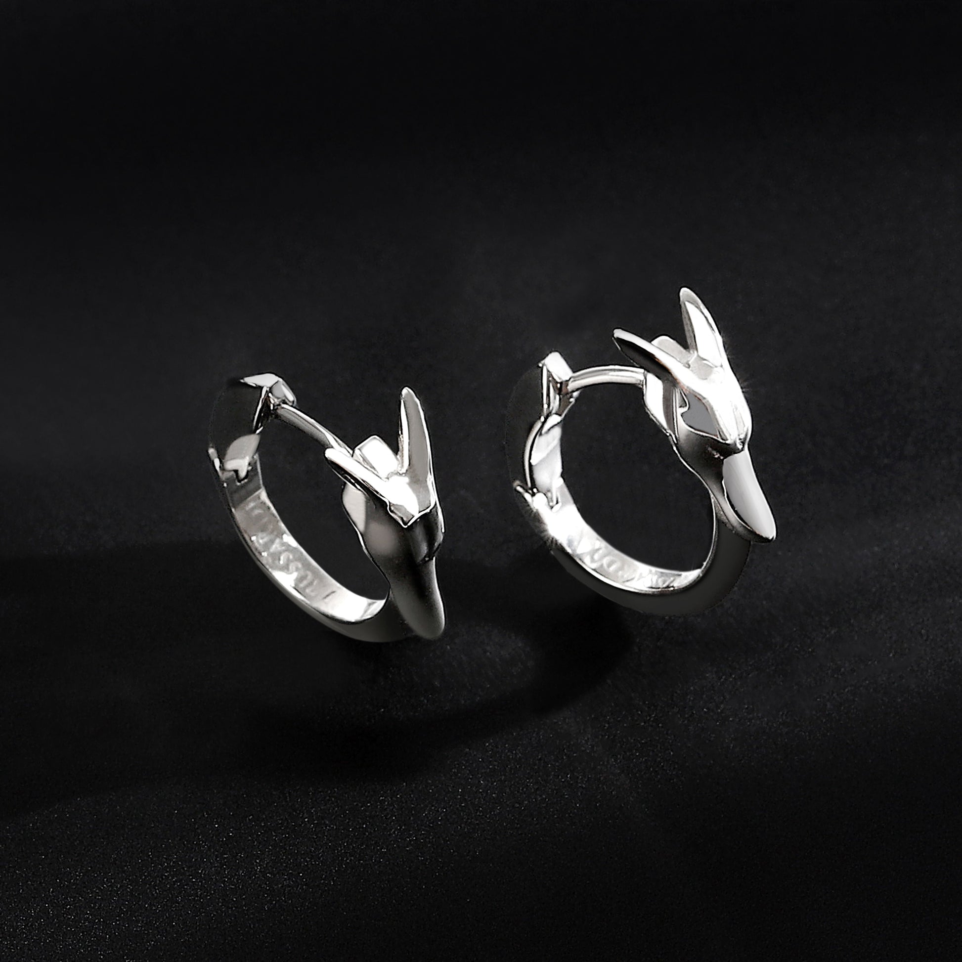 Trussardi T-Heritage Tjaxb05 Women's Earrings