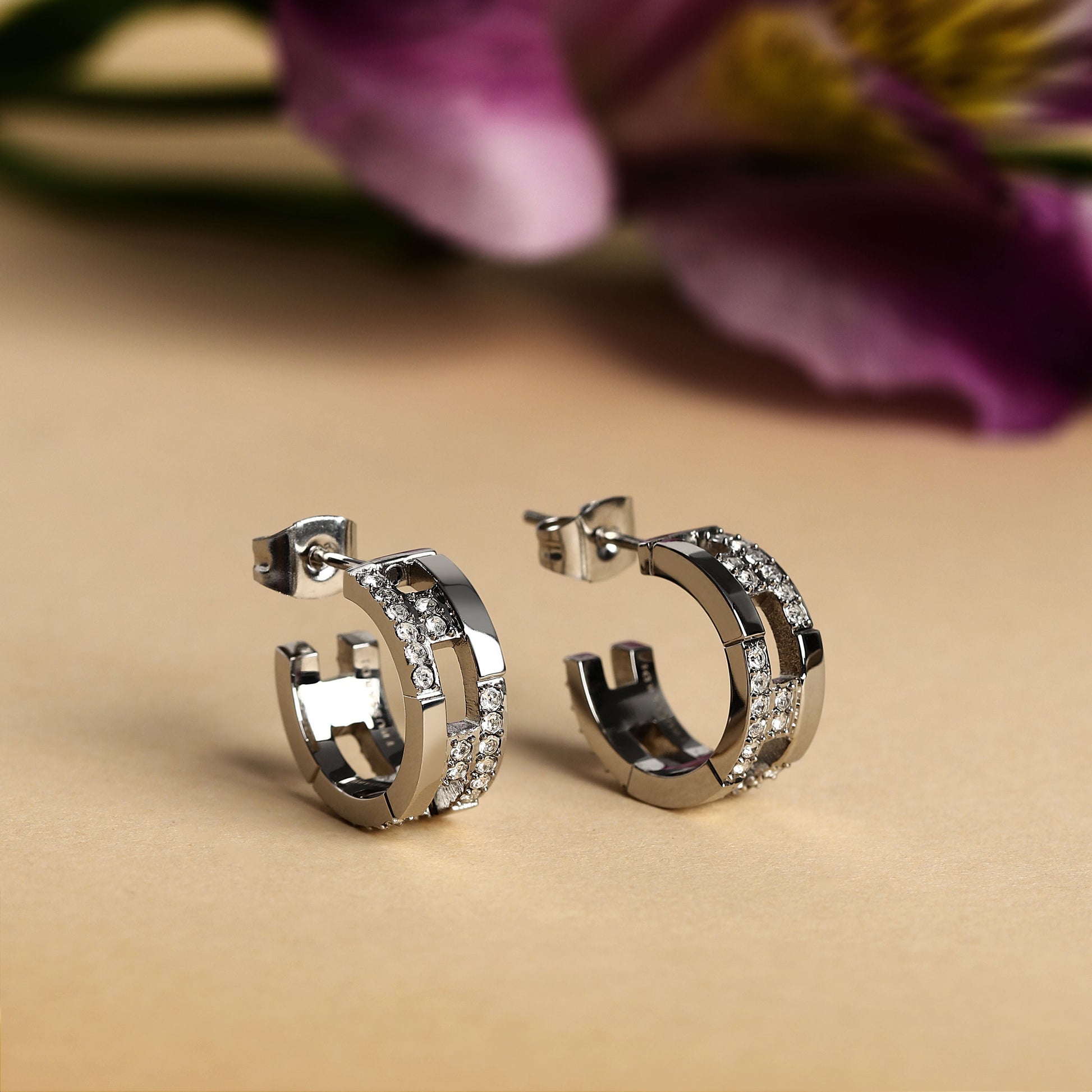 Trussardi T-Logo Tjaxc70 Women's Earrings