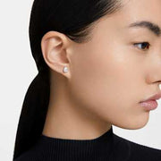 Swarovski Millenia Stud Earrings 5636713