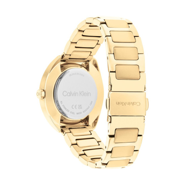 Calvin Klein Watch 25200276