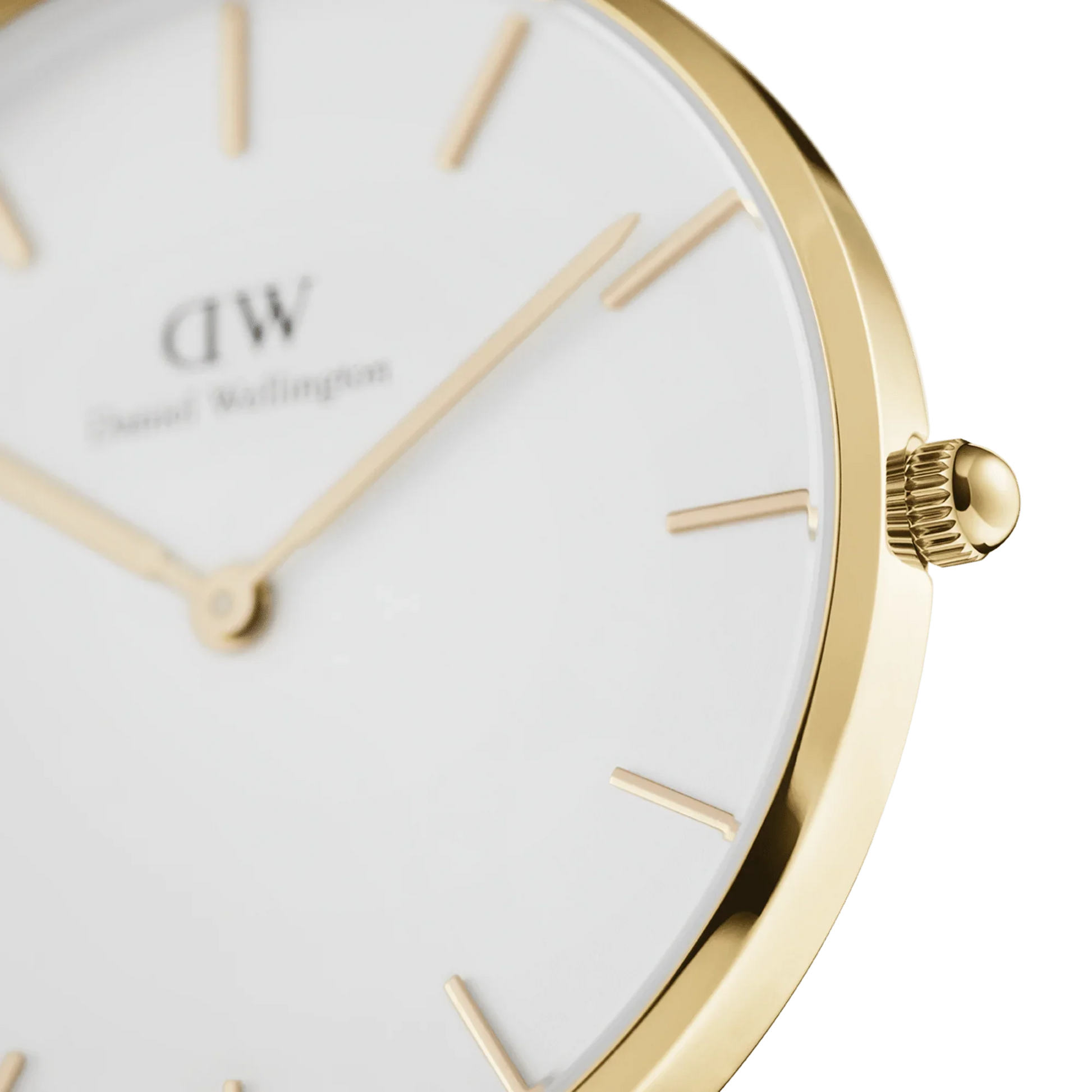 Daniel Wellington Petite Evergold Women's Watch DW00100346