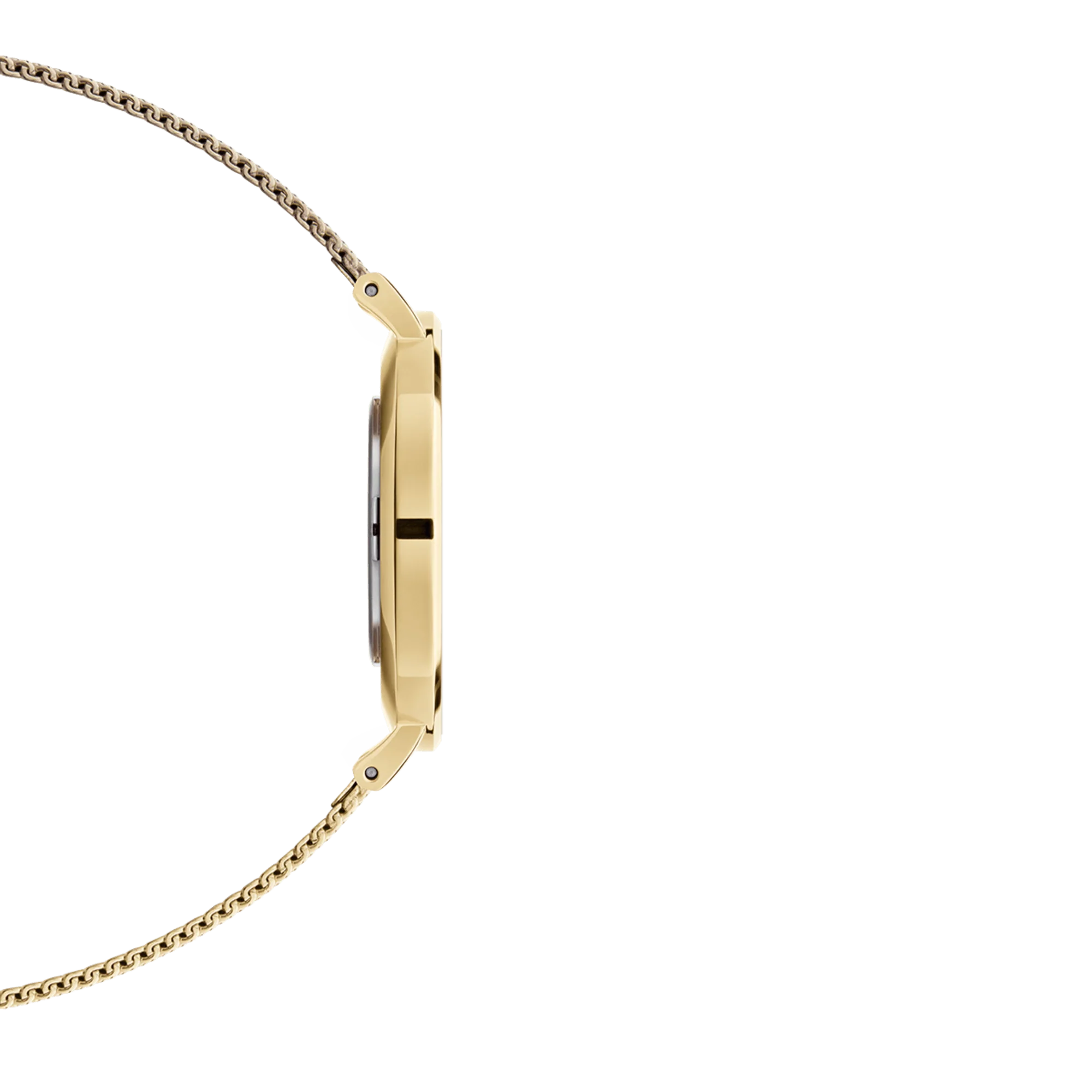 Daniel Wellington Petite Evergold Women's Watch DW00100348