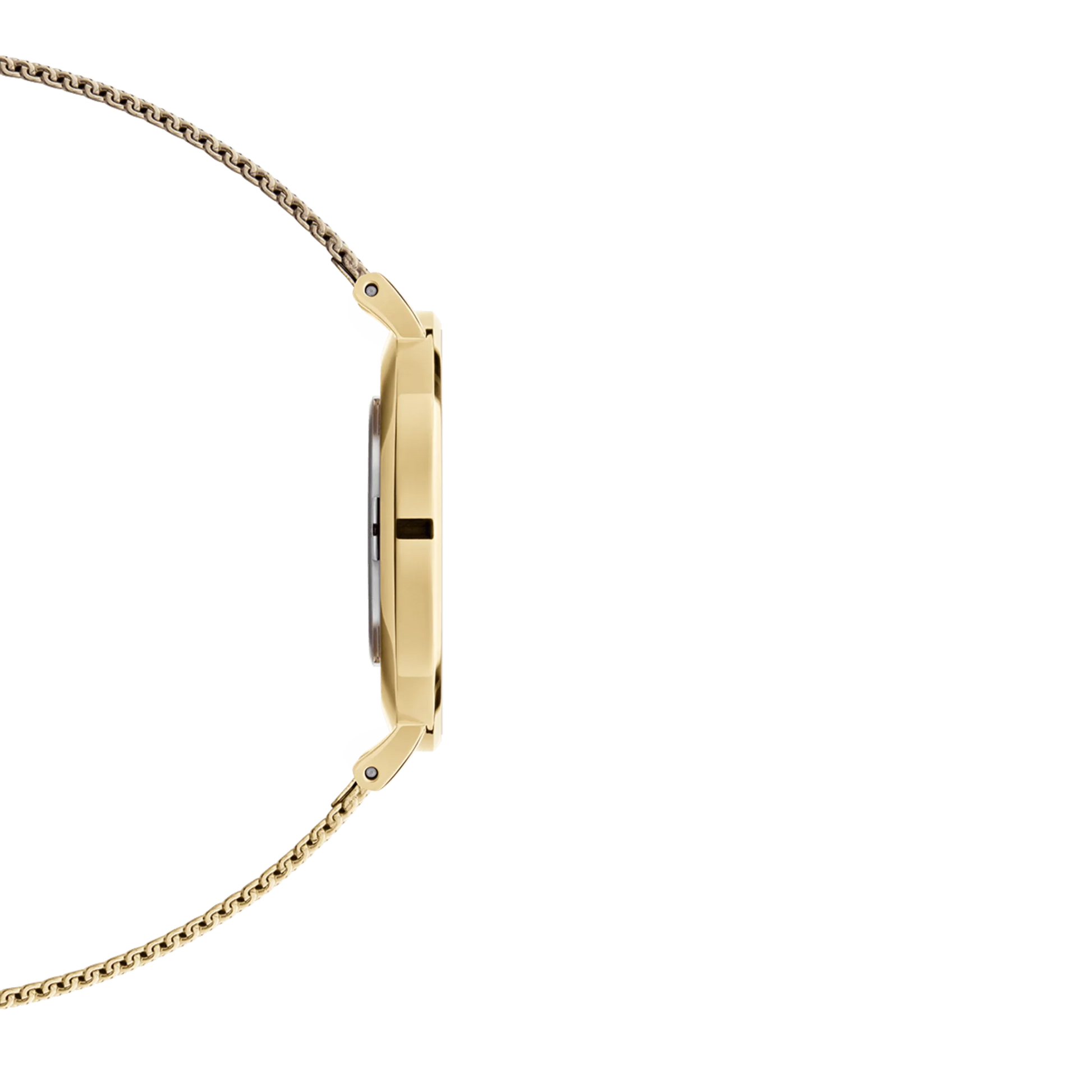 Daniel Wellington Petite Evergold Women's Watch DW00100350