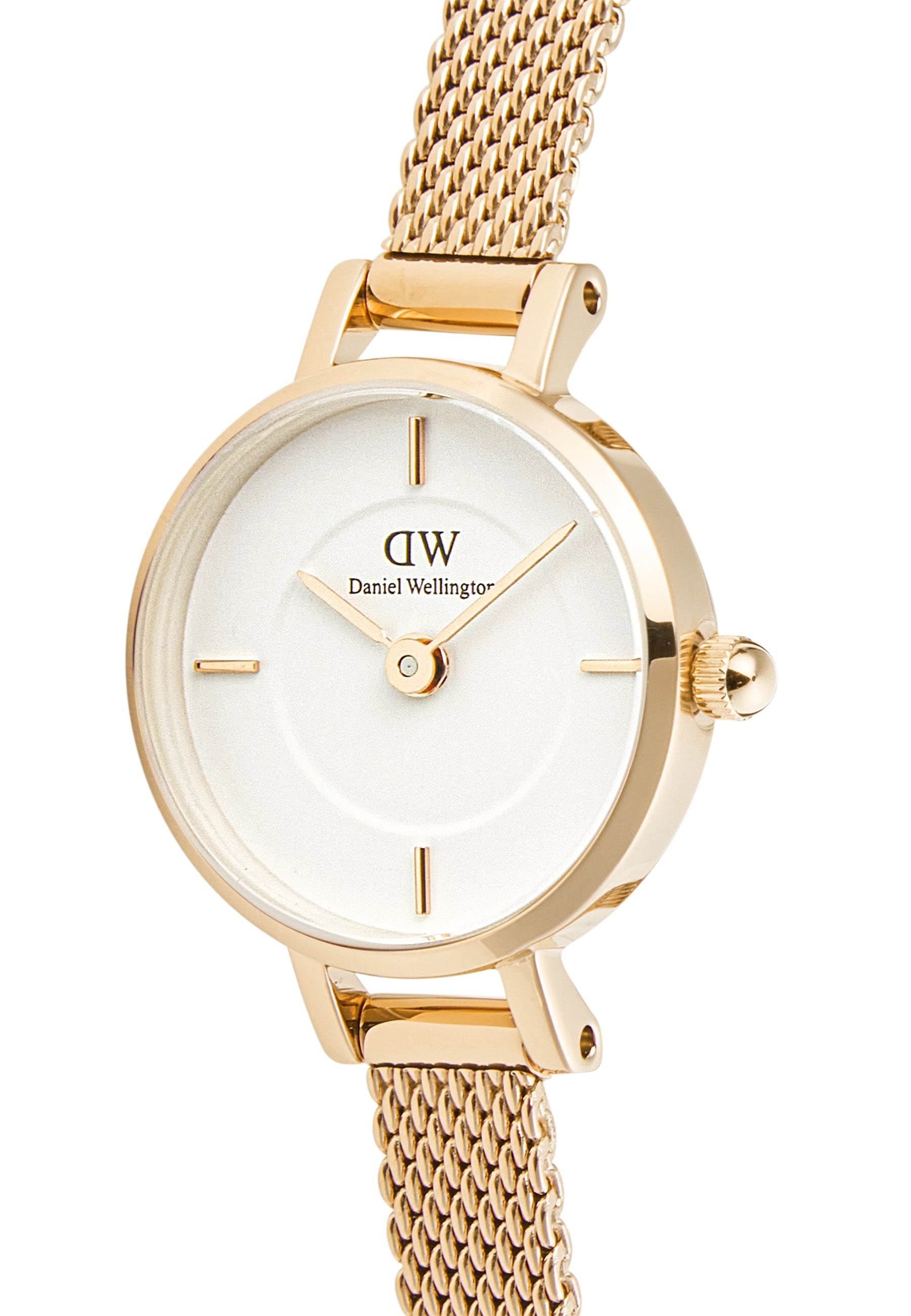 Daniel Wellington Petite Mini Evergold Dw00100745 watch