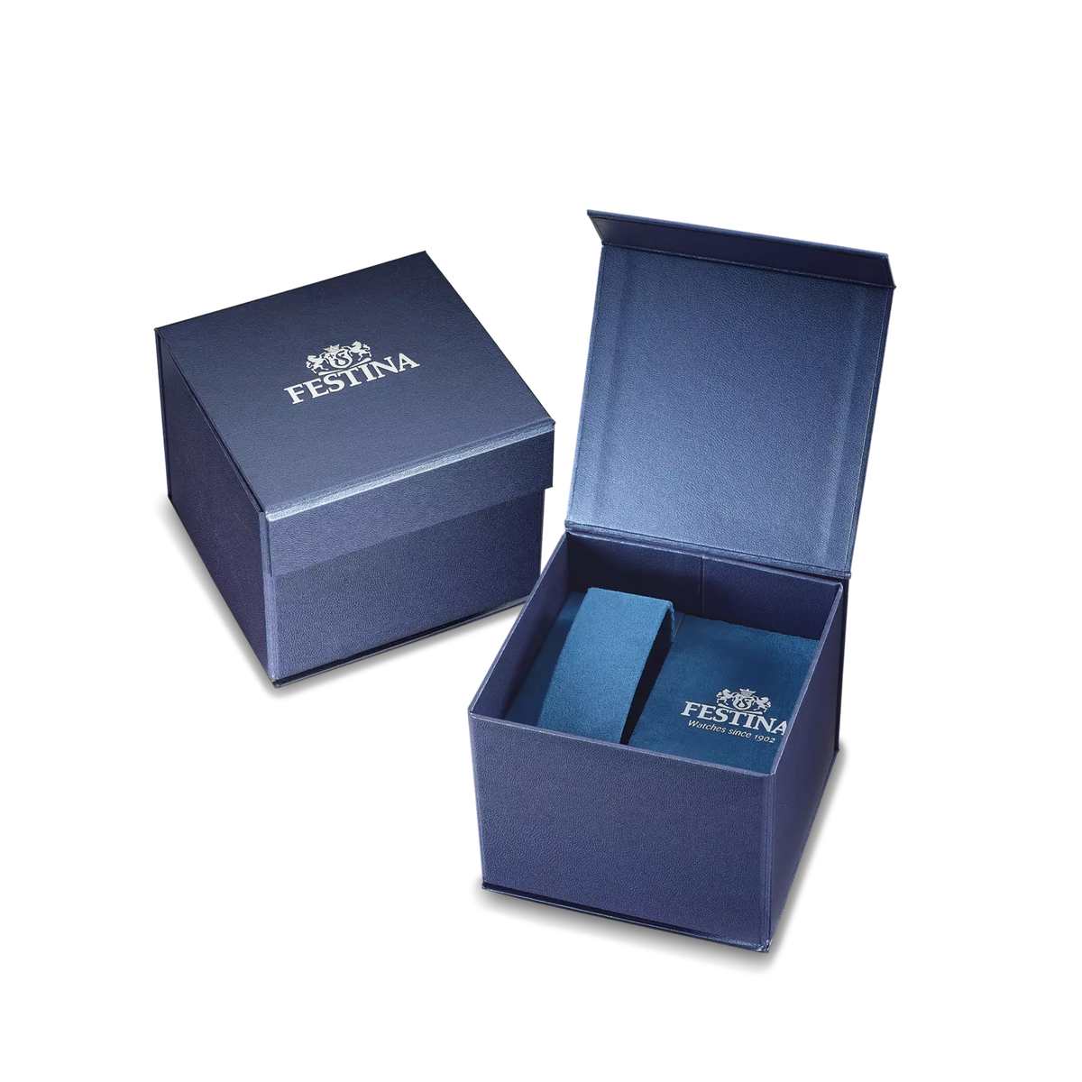Festina Classic Maple Watch F20738_2
