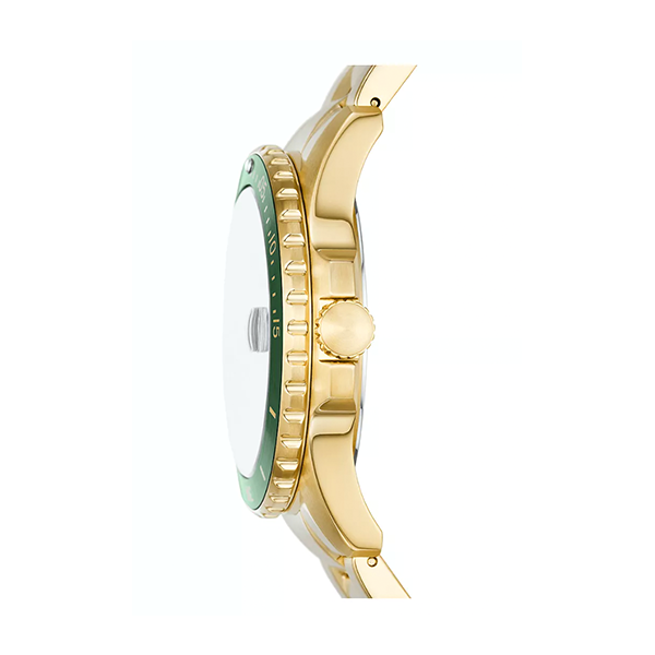 Orologio Fossil FS6030