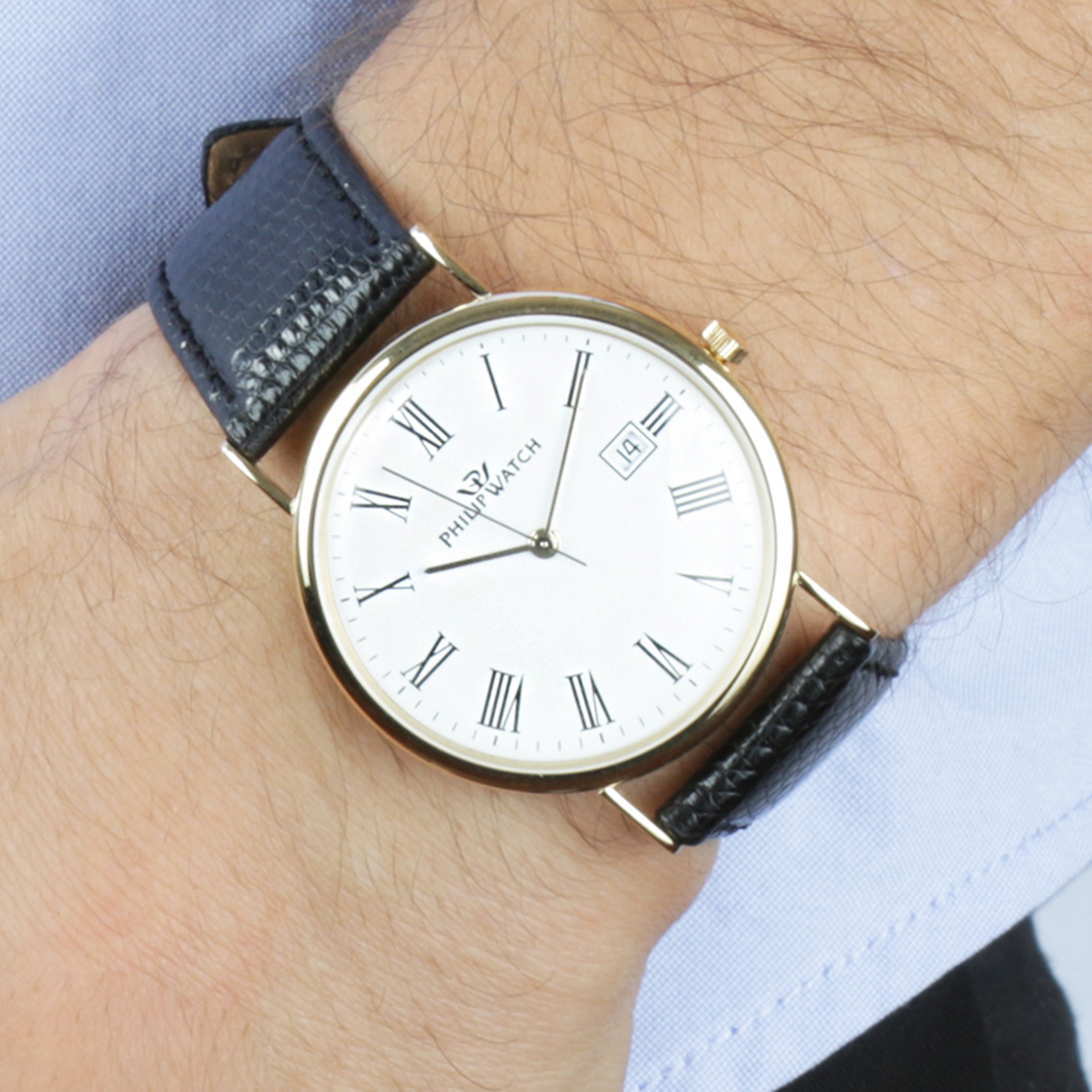 Philip Watch Capsulette Men's Watch R8051551161