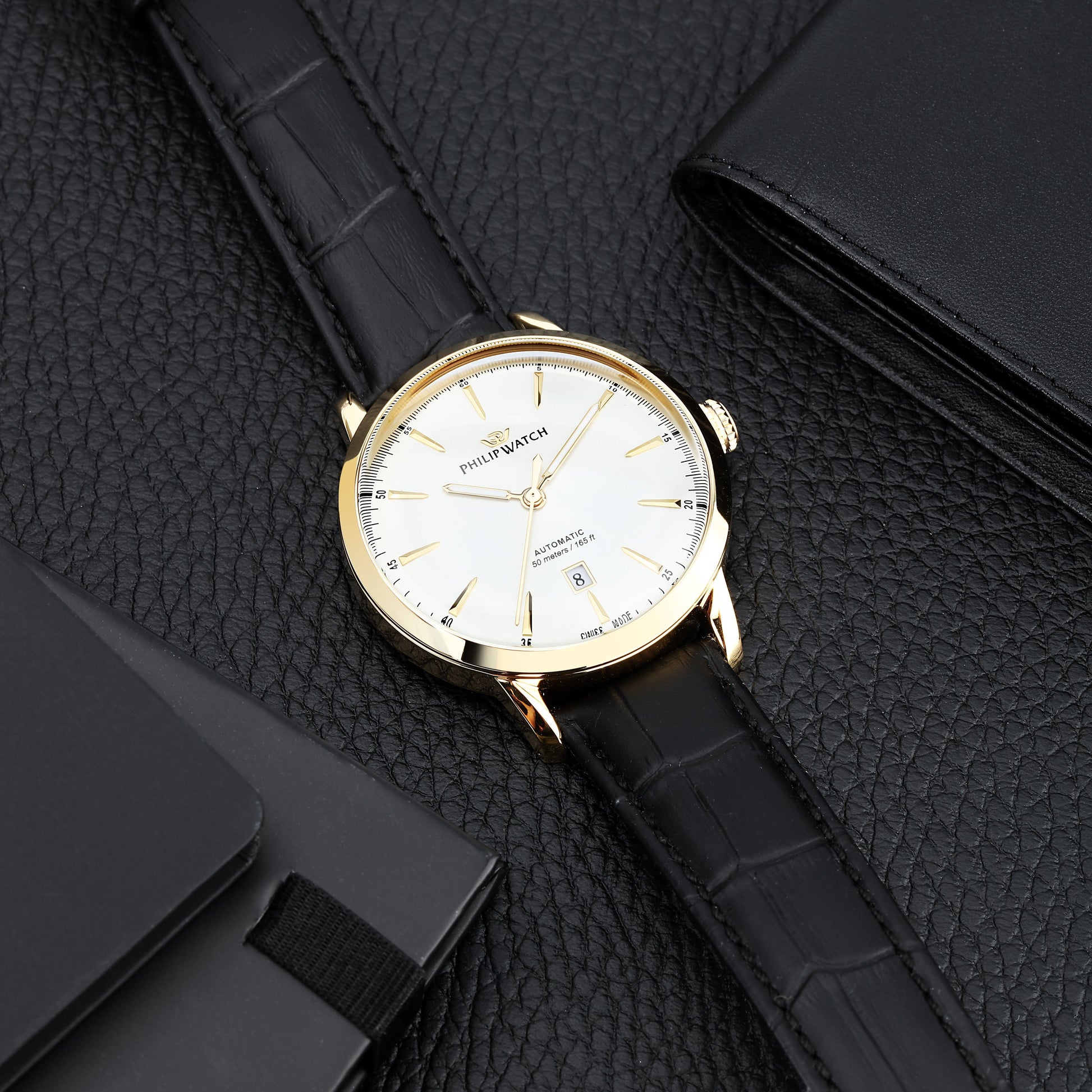 Philip Watch Sunray Men's Watch R8221180018