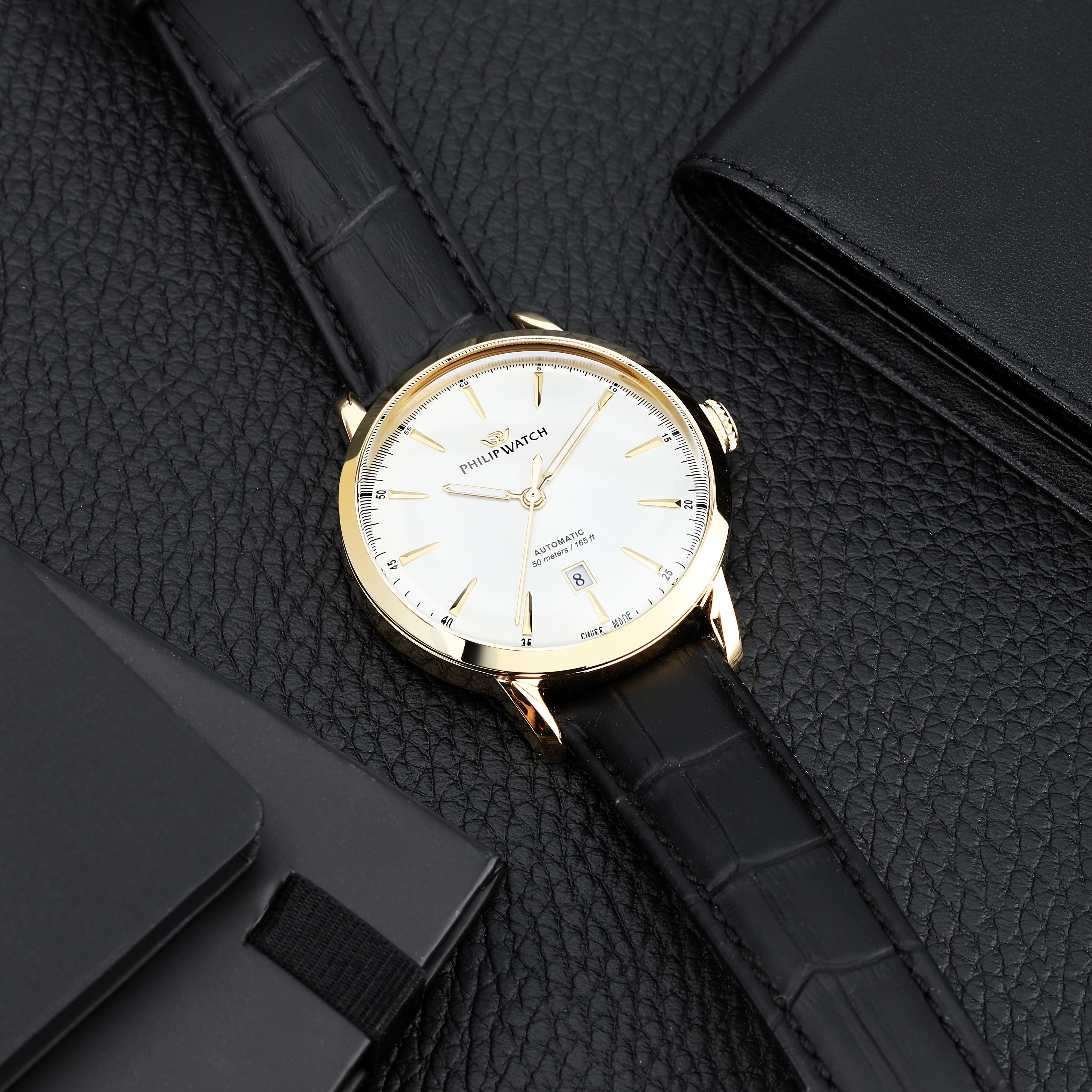 Philip Watch Sunray Men's Watch R8221180018