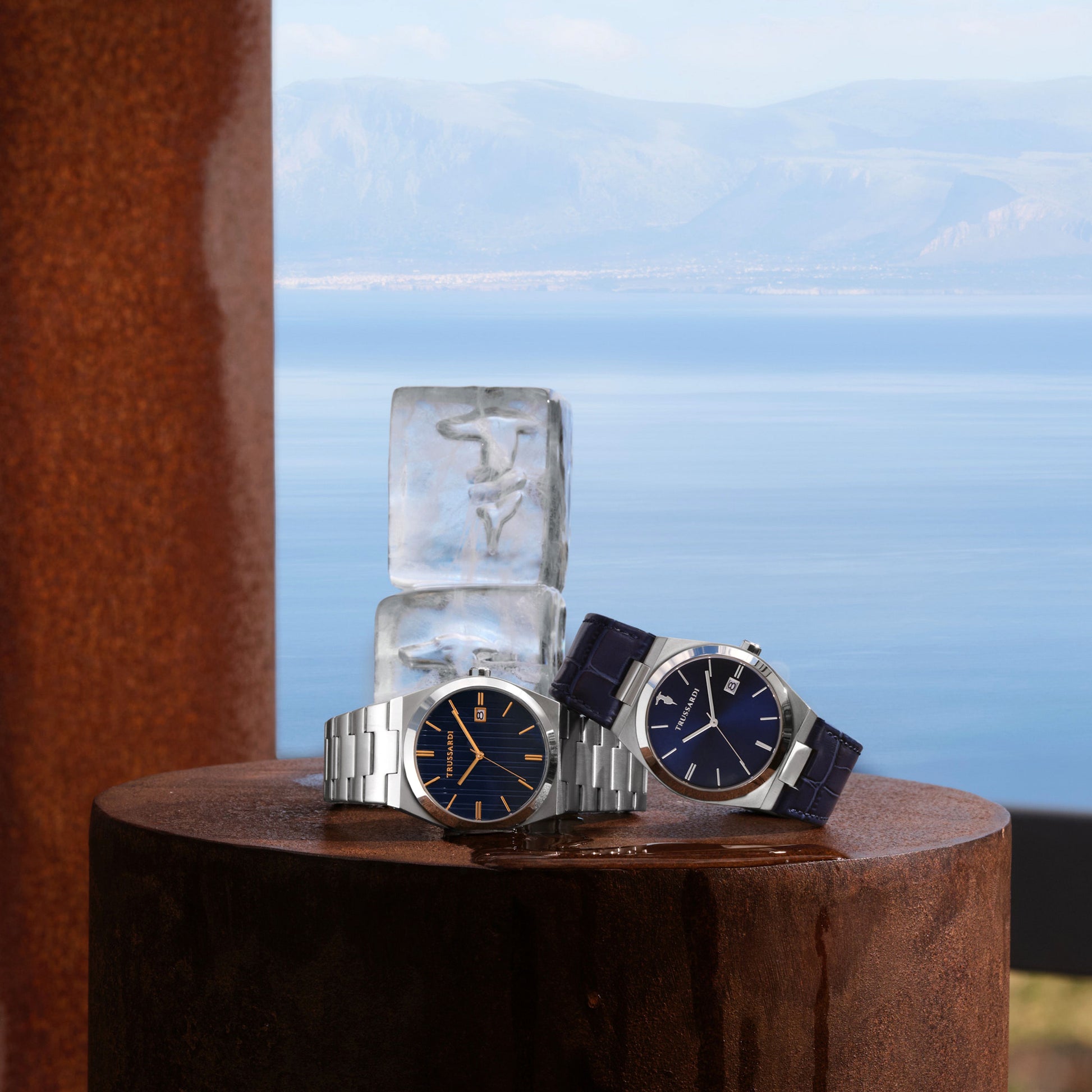 Orologio Trussardi R2451175005 Uomo