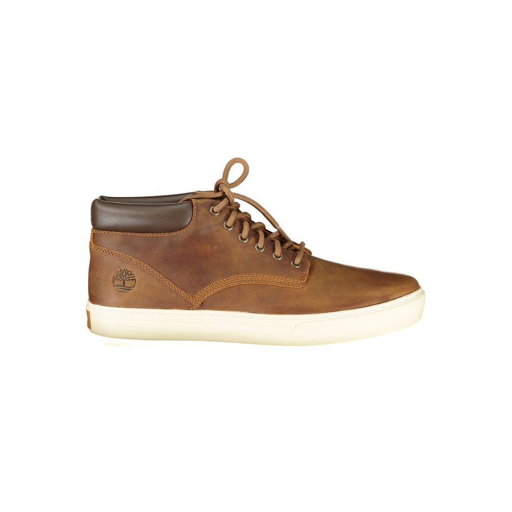 Timberland Marrone Synthetic Men Sneaker