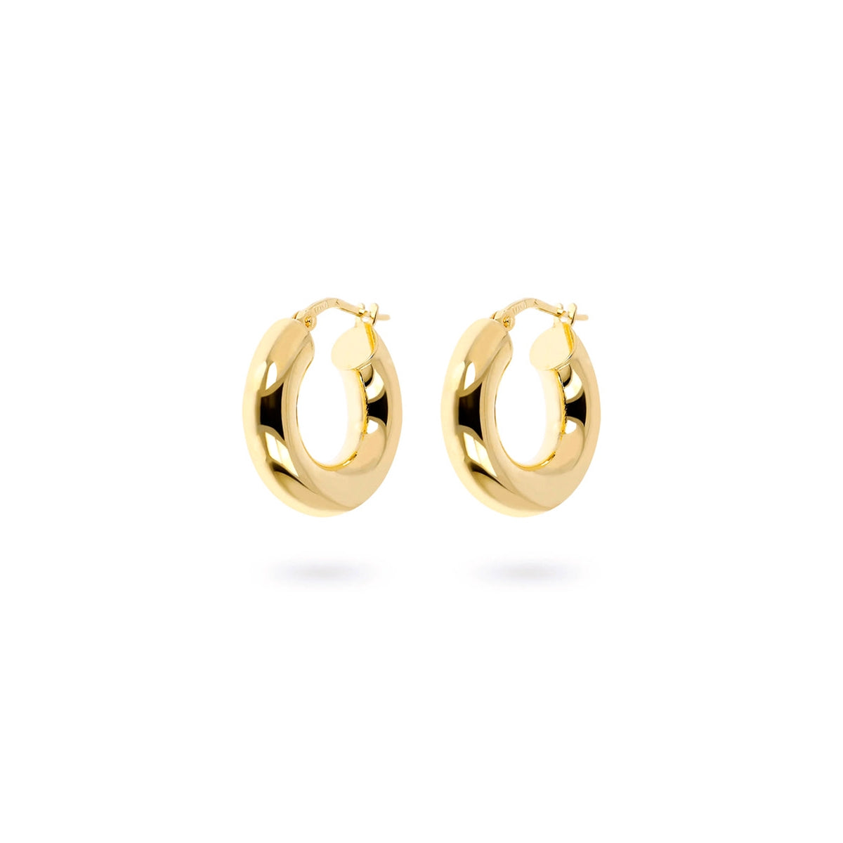 Etruscan Women's Earrings WSET00664-YG