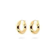 Etruscan Women's Earrings WSET00664-YG